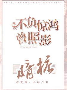 暗樁/暗樁:不負驚鴻曾照影